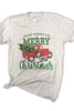 Merry Little Christmas Tee Youth
