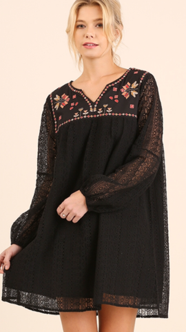 Black Lace A Line Dress w/Embroidered Detail